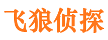 福建市侦探公司